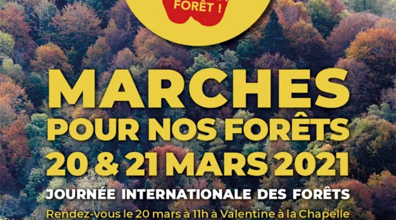 Une des marches pour la forêt, en 2021. [TPMF-Pyrénées]